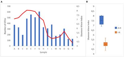 Analysis of the 16S rRNA gene for the characterization of the bacterial community of the Lambro river (Italy)